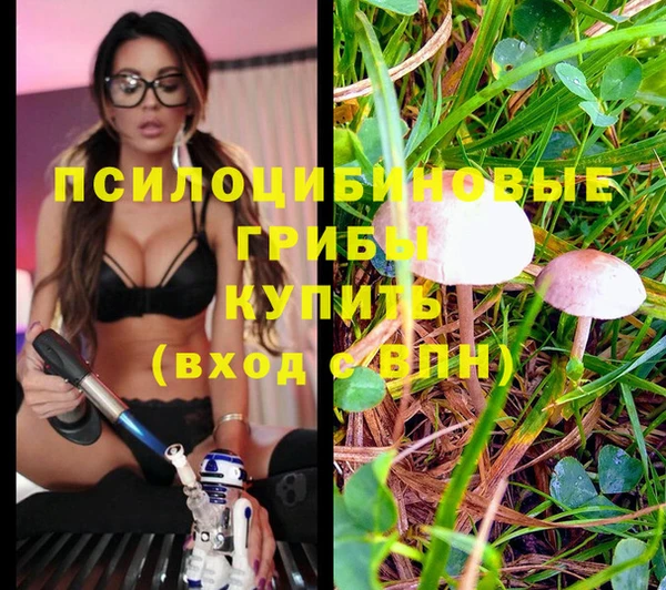 кокс Алексин