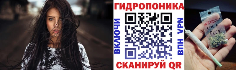 МАРИХУАНА план  как найти наркотики  Олонец 